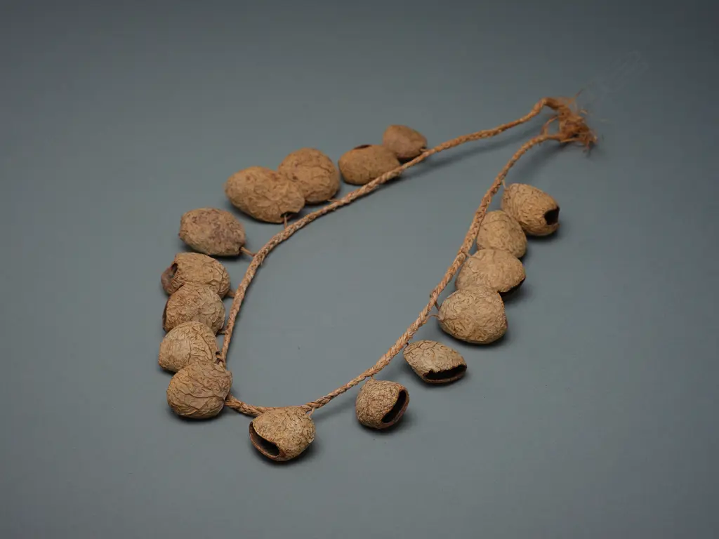 seed pod/sisal necklace, Image 1++